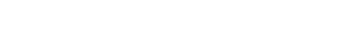 Ft Logo